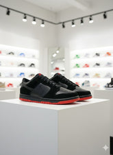 NKE  SB DUNK SNEAKERS